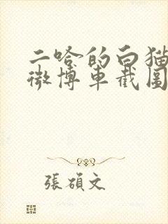 二哈的白猫师尊微博车截图