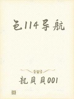 色114导航