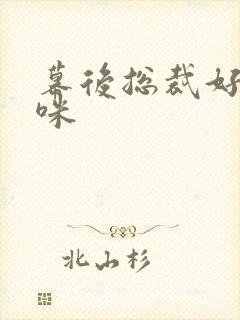 幕后总裁好孕妈咪