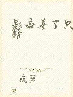 影帝养了只玫瑰精