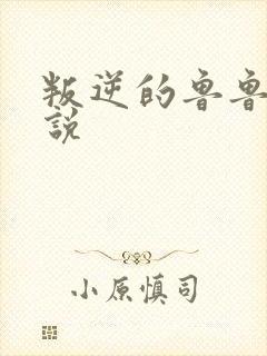 叛逆的鲁鲁修小说