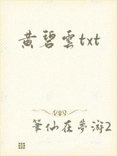黄碧云txt