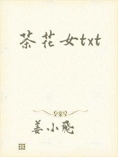 茶花女txt