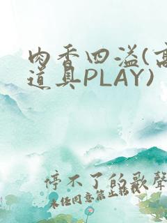 肉香四溢(高H道具PLAY)