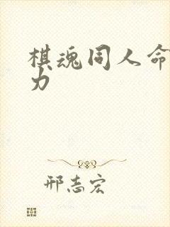 棋魂同人命运之力