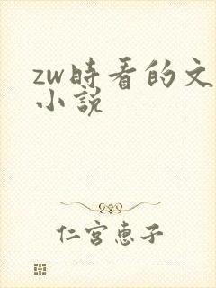 zw时看的文案小说