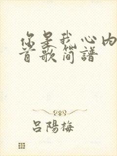 你是我心内的一首歌简谱