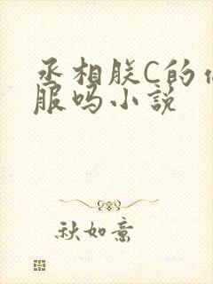 丞相朕C的你舒服吗小说