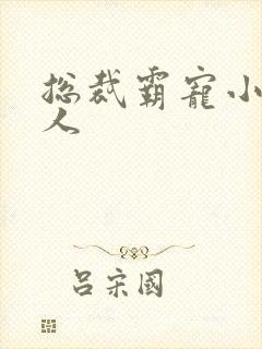 总裁霸宠小小女人