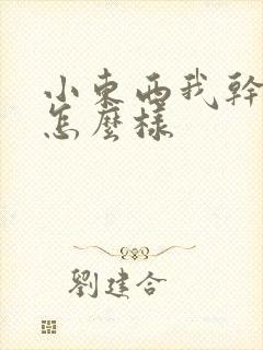 小东西我干的你怎么样