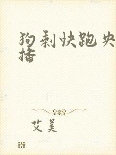 狗剩快跑央八首播