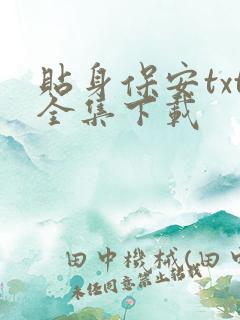 贴身保安txt全集下载