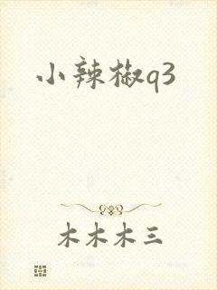 小辣椒q3