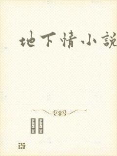 地下情小说