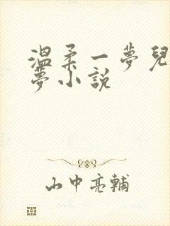 温柔一梦儿媳林梦小说