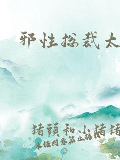 邪性总裁太难缠