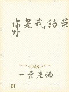 你是我的荣耀番外