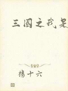 三国之我是华雄