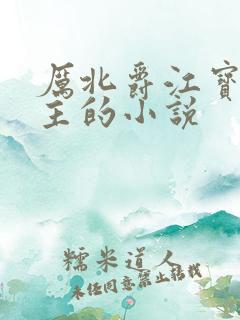 厉北爵江宝宝男主的小说