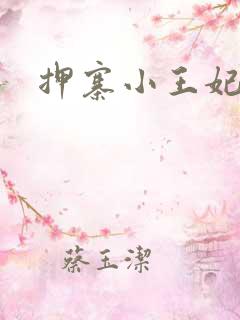 押寨小王妃