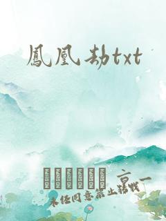 凤凰劫txt