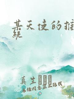 某天使的推妹系统