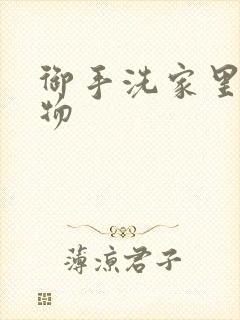 御手洗家里的事物