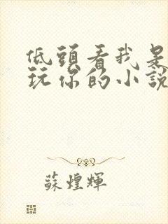 低头看我是怎么玩你的小说