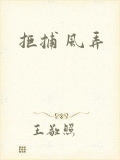 拒捕 风弄