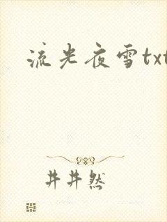 流光夜雪txt