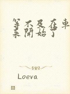 等不及在车里就来开始了