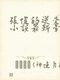 张俊的逆袭之路小说最新章节