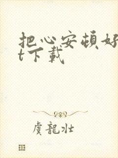 把心安顿好txt下载