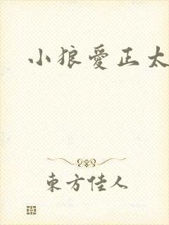 小狼爱正太