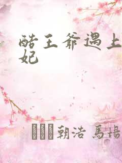 酷王爷遇上穿越妃