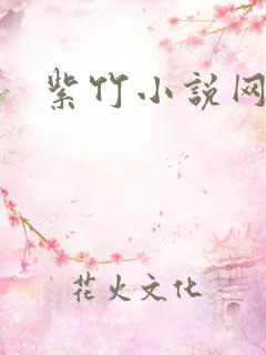 紫竹小说网
