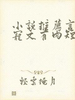 小说推荐言情甜宠文有肉短篇完结