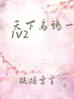 天下乌鸦一般黑1V2