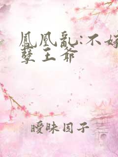 凤凰乱:不嫁妖孽王爷