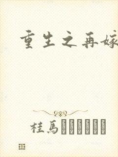 重生之再嫁前夫