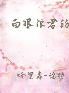 白眼狼君的小说