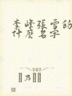 李峰张雪的书叫什么名字