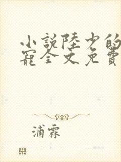 小说陆少的心尖宠全文免费阅读