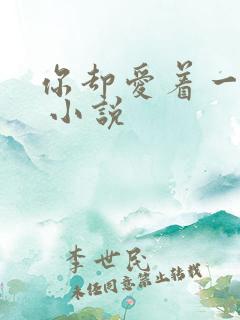 你却爱着一个他 小说