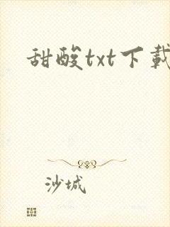 甜酸txt下载