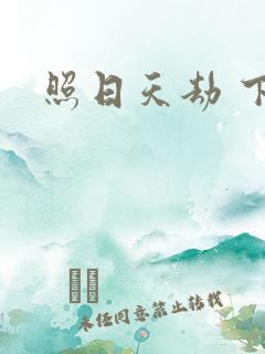 照日天劫 下载