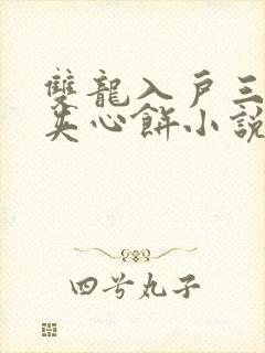 双龙入户三人行夹心饼小说