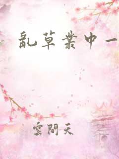 乱草丛中一杆枪