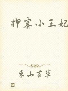 押寨小王妃