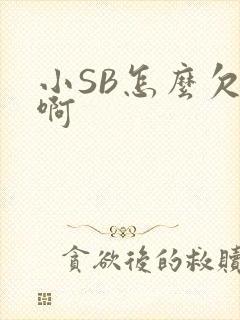 小SB怎么欠C啊
